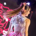 小羽兔